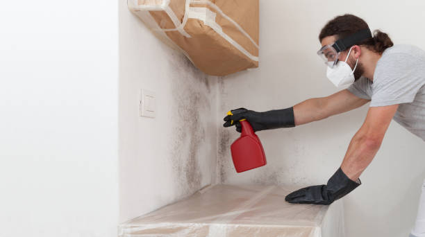 Professional Mold Testing technician working in Roosevelt, NY